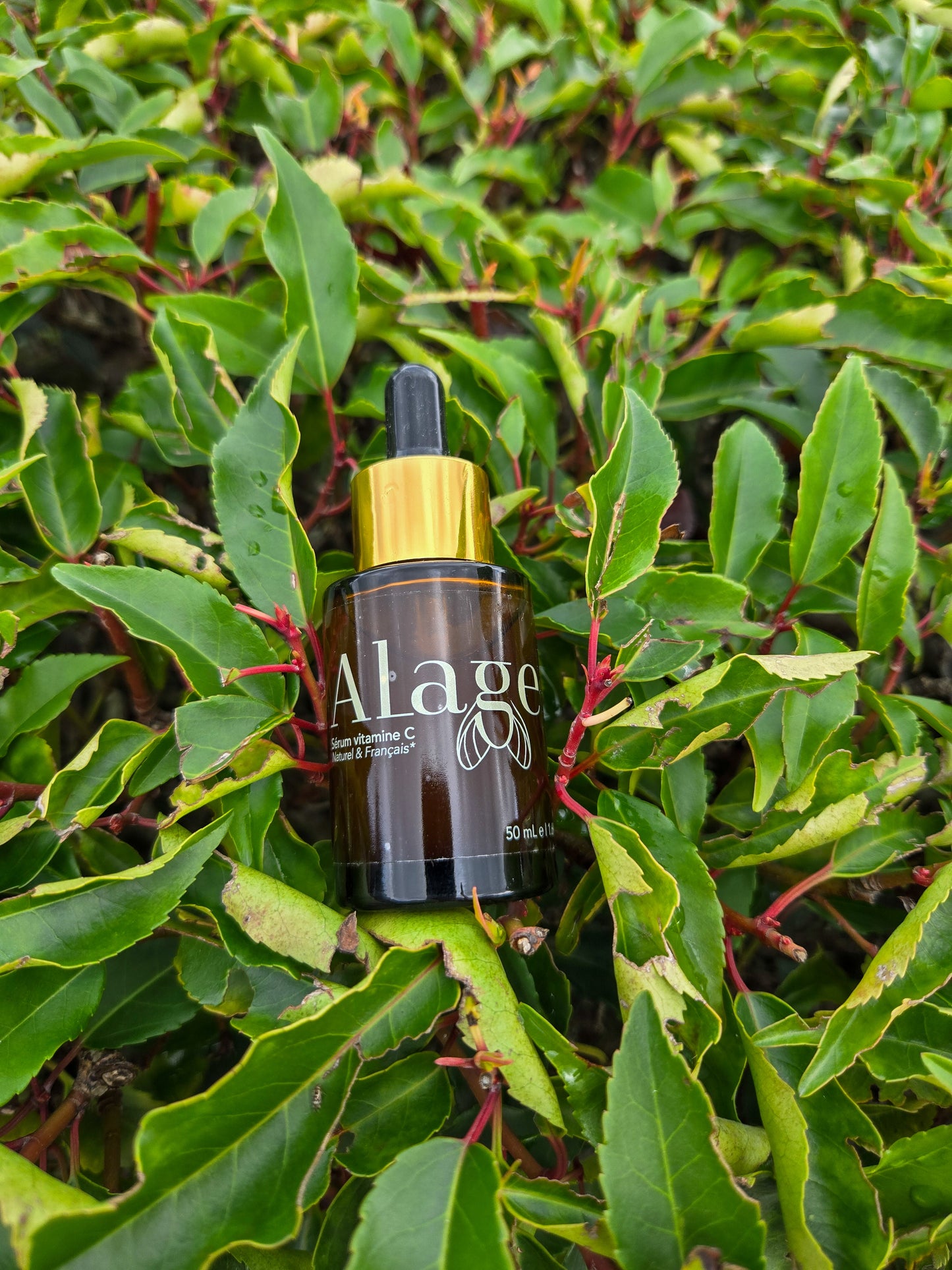 Sérum à la Vitamine C - 30 mL