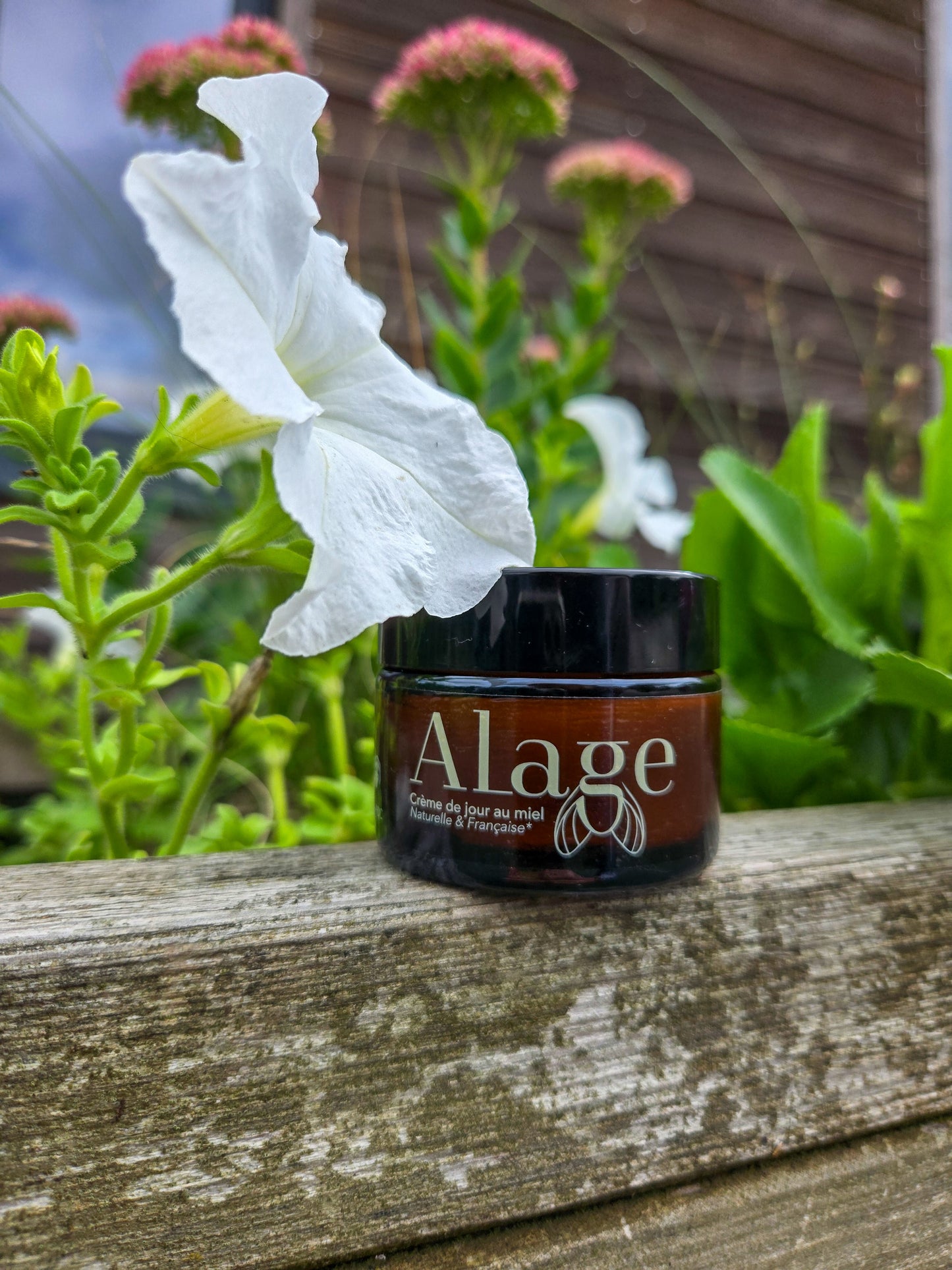 Crème Visage Jour à la Vitamine C et à l'Acide Hyaluronique - 50 mL