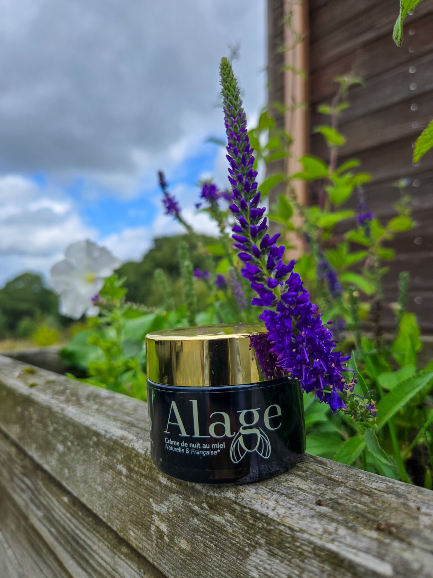 Crème Visage Nuit au Bakuchiol et à la Vitamine E - 50 mL